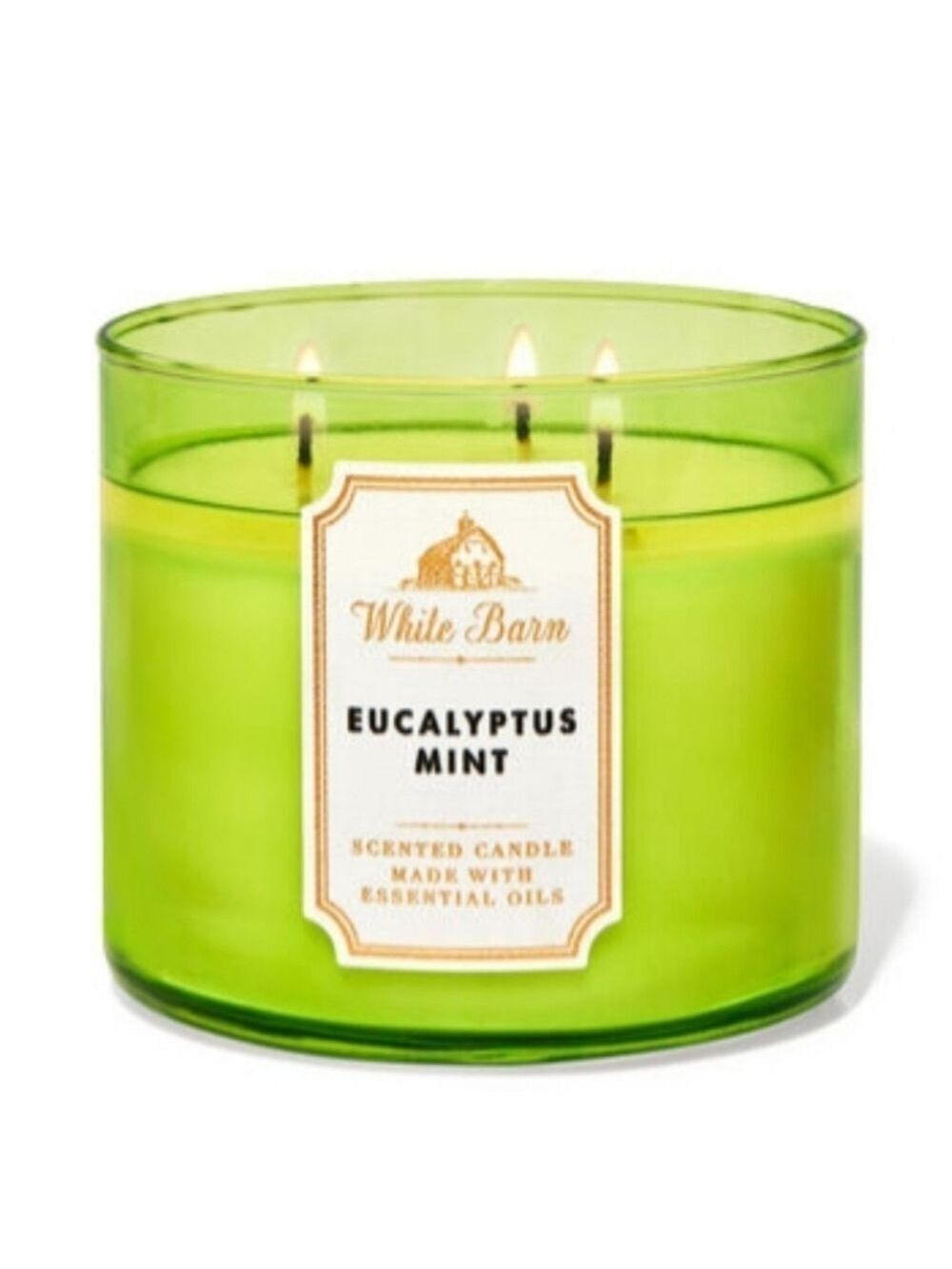 EUCALYPTUS MINT 3-WICK CANDLE